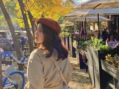 -三里屯东五街银杏大道