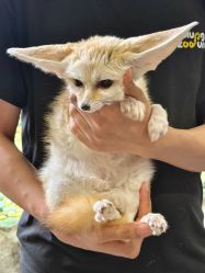 -Zoolung Zoolung动物主题公园(海信广场店)