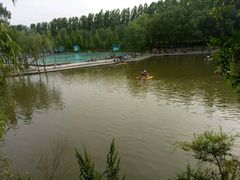 -东方巨龟苑景区