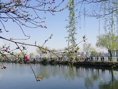 -无锡蠡湖国家湿地公园-蠡园