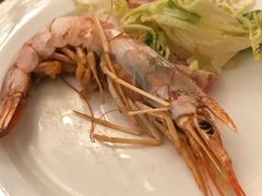 -赛瑞喜来登大酒店-盛宴自助餐厅
