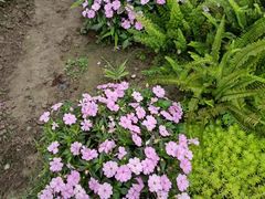 -中国天府农业博览园