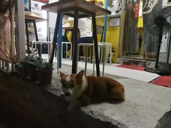 -小梁哥云吞面(黄贝岭店)