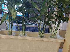 -锅老头铁锅炖•大锅蒸汽海鲜(韩乐坊店)