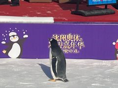 -沈阳奥体冰雪嘉年华