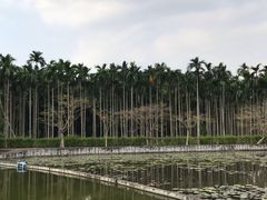 -红色娘子军纪念园