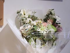 -猫里有甜