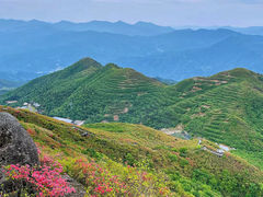 -大围山国家森林公园