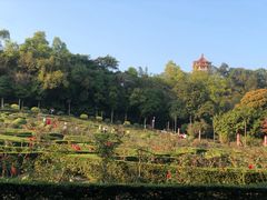 -紫马岭公园