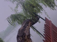-东湖生态旅游风景区