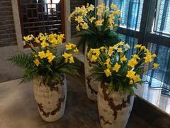 -陶然居·重庆菜(解放碑店)