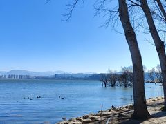 -洱海月湿地公园