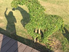 -龙环葡韵住宅式博物馆