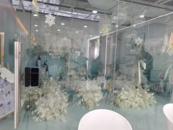 -可优蜜儿童摄影