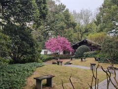 -山外山菜馆(玉泉路店)