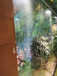 -北京科学中心儿童乐园