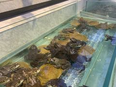 -川骄海鲜自助(河东店)
