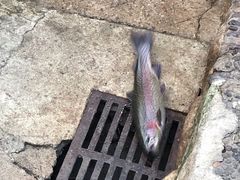-北京水岸山吧度假村(雁栖镇店)