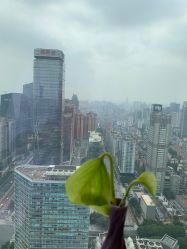 点击看大图 -久匠·纹眉半永久野生眉