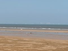 -日照海滨国家森林公园