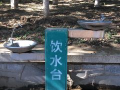 -大兴滨河森林公园