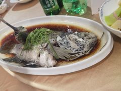 -黄浦江游览十六铺3号码头网红自助餐