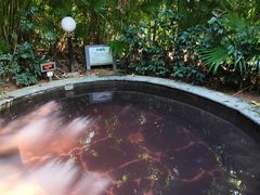 -林丰温泉度假山庄