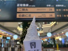 -野人先生Gelato(上海长宁龙之梦店)
