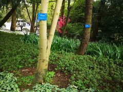 -南山植物园