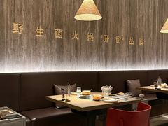 -蘑界·野生菌火锅(深业上城店)