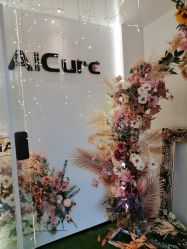 -AiCure 埃可儿·韩国医学皮肤管理