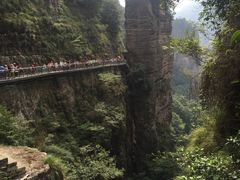 -雁荡山风景名胜区-小龙湫
