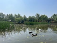 -太阳宫公园