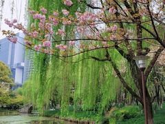 -钱江新城