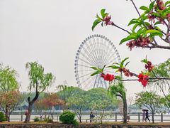 -无锡蠡湖国家湿地公园-蠡园