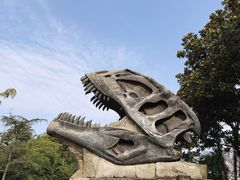 -自贡恐龙博物馆