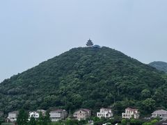 -黄贤森林公园