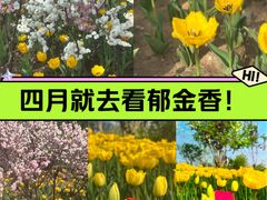 -迎泽公园
