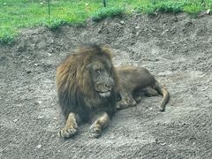 -北京野生动物园