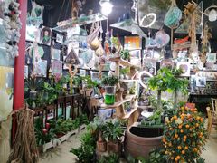 -循礼门鲜花花市(武汉循礼门店)