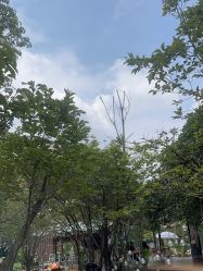 -Zoolung Zoolung动物主题公园(海信广场店)