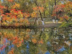 -长白岛森林公园