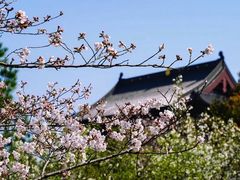 -阳澄湖半岛旅游度假区
