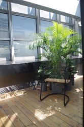 -无界瑜伽普拉提