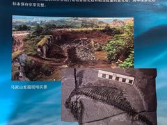 -安徽省地质博物馆