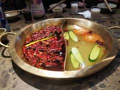 -小龙坎火锅(春熙太古里店)
