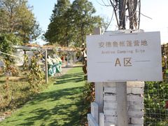 -安德鲁户外烧烤帐篷营地(马泉营店)