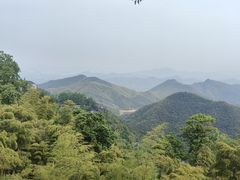 -莫干山风景区