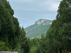-佛慧山