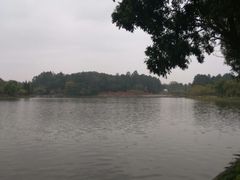 -南国桃园旅游度假区